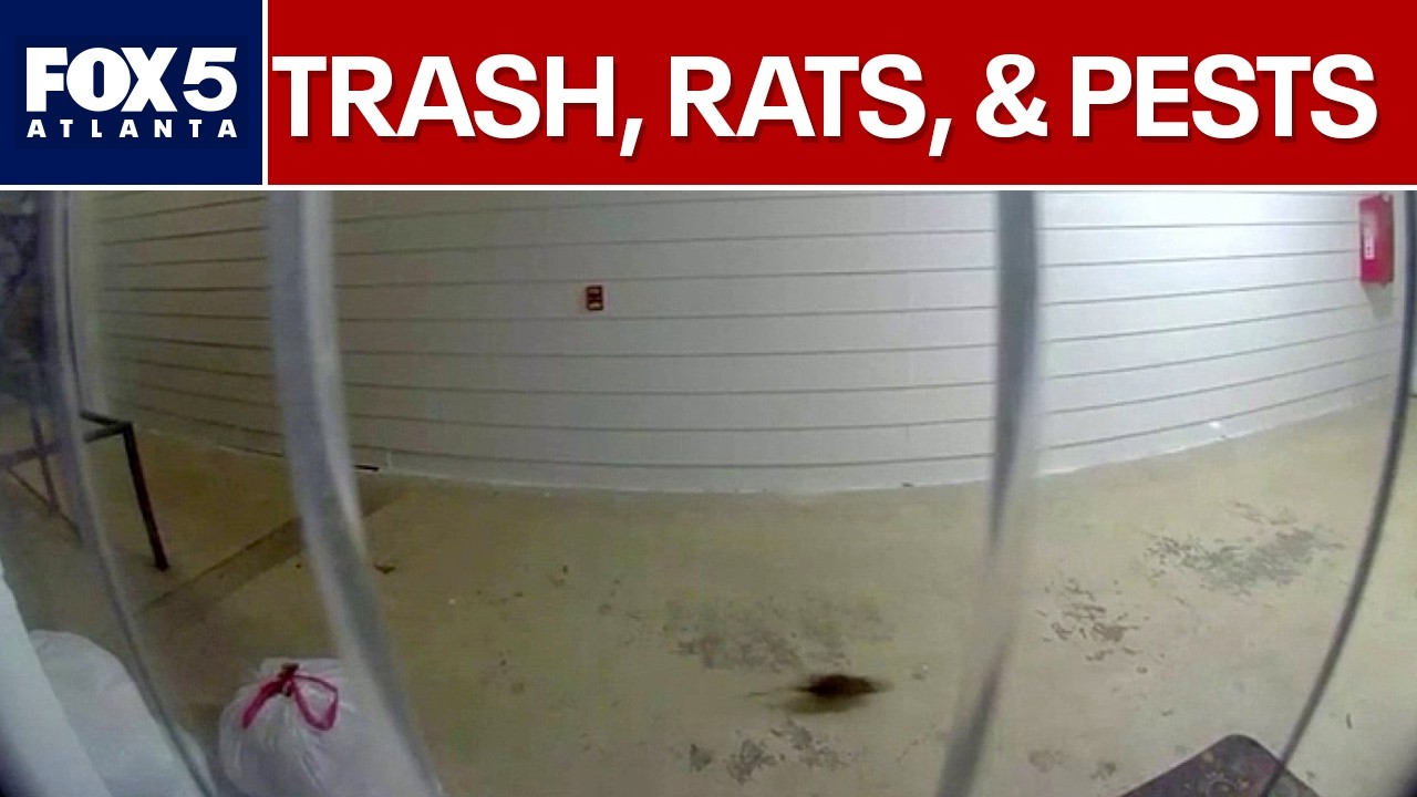 Pests infest Dunwoody complex after trash delay | FOX 5 News