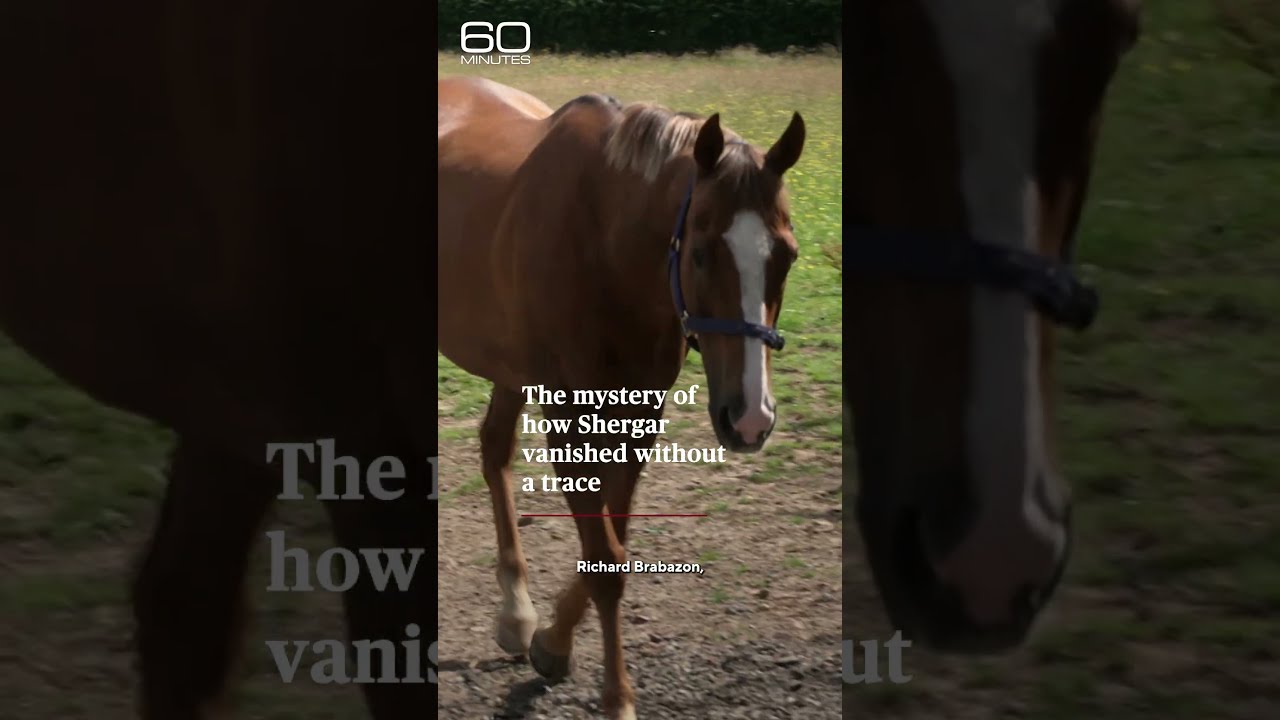 The mystery of how Shergar vanished without a trace #shorts