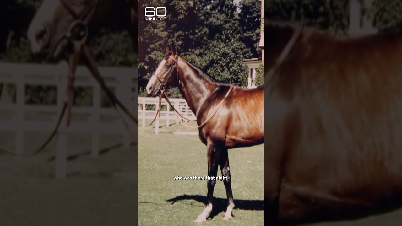 The night that masked gunmen kidnapped champion racehorse Shergar #shorts