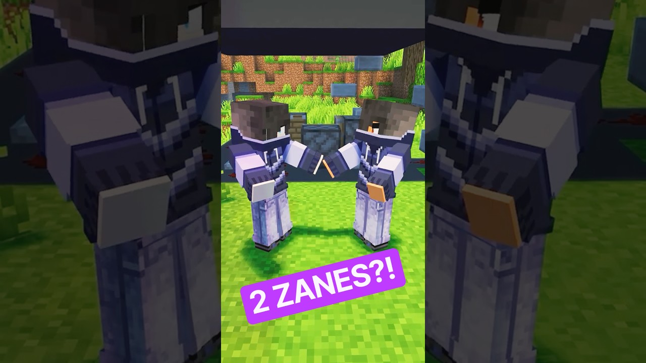 THERE’S 2 ZANES???