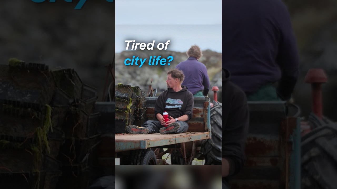 Tired of city life? | DW Documentary