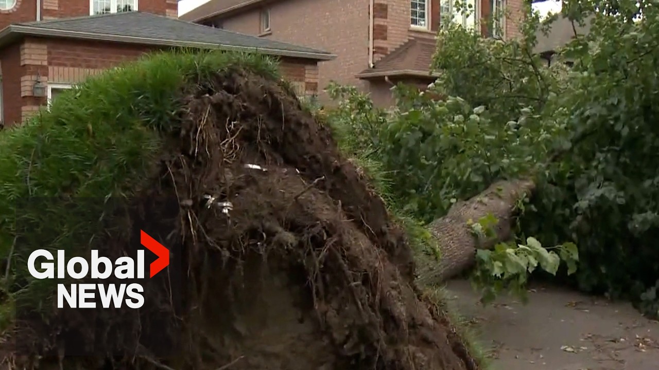 Toronto residents assess damage from ‘100 year storm,’ begin insurance claim process