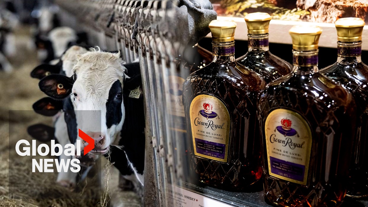 Trump banning import of Canadian liquor, dairy, other goods into US