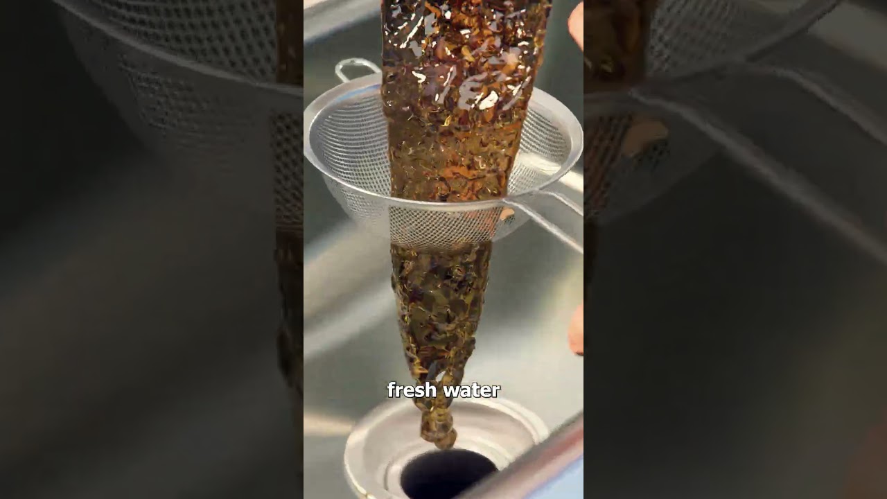 Turning Acorns Into Pancakes 🤨