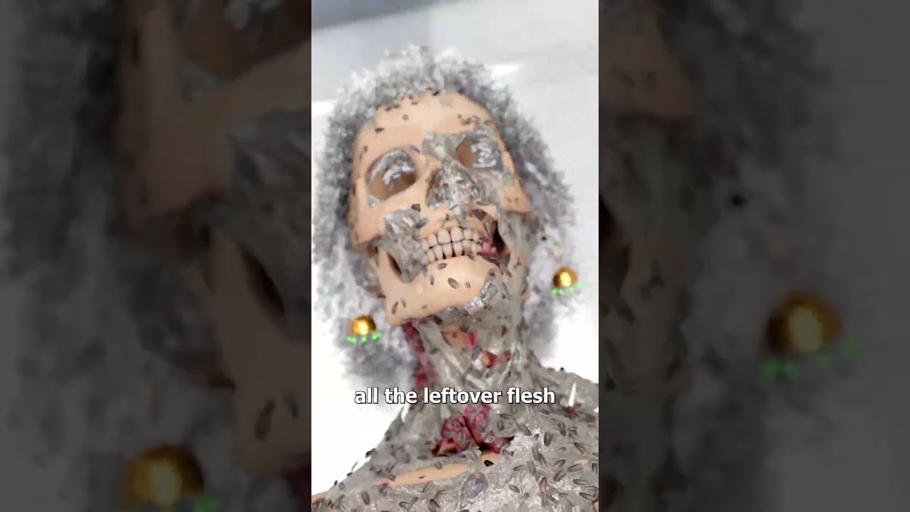 Turning Your Loved One Into A Skeleton 😨