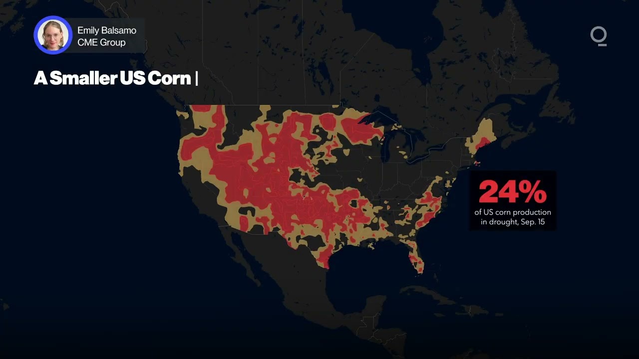 What’s Driving the Late-Season Grain Market Rally? | Presented by CME Group