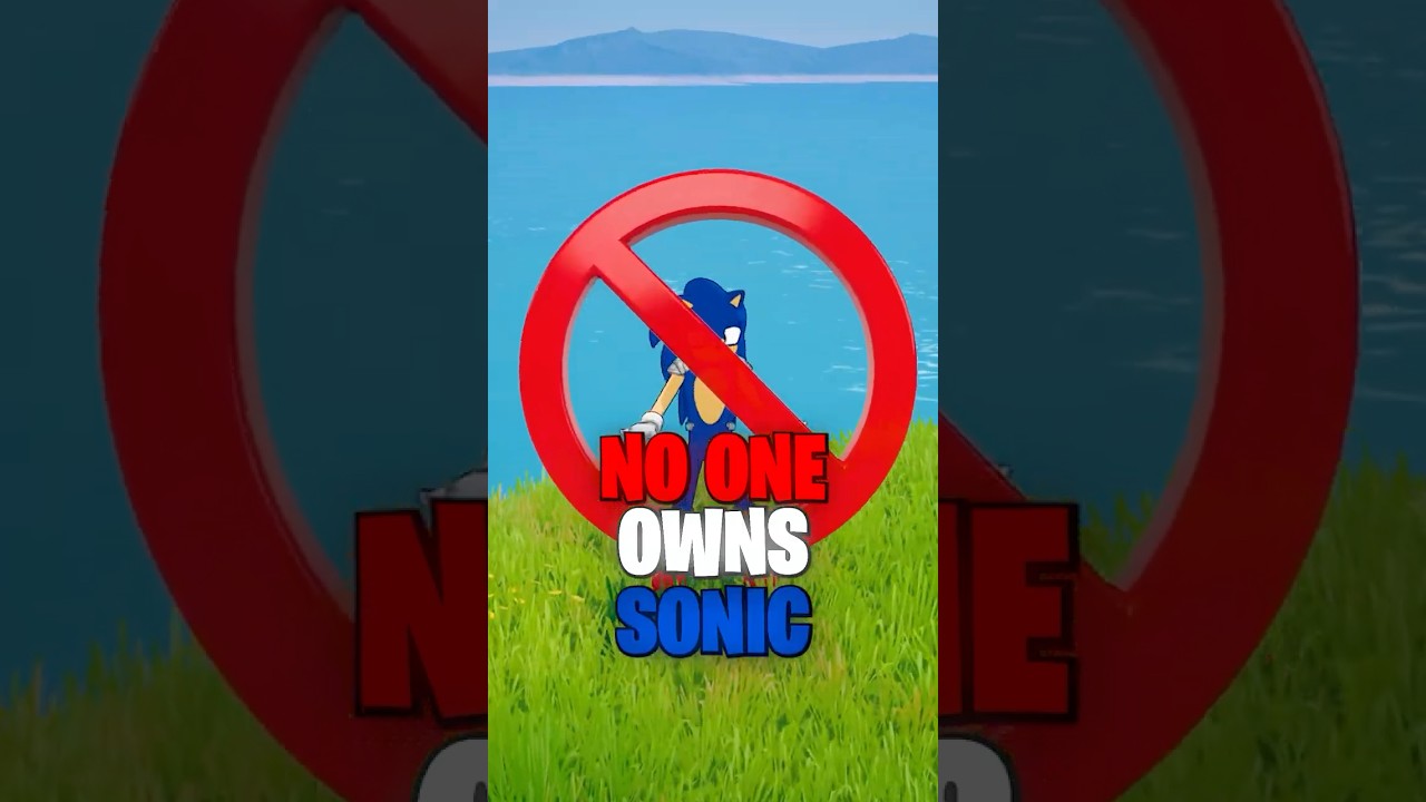 Why NO ONE Owns The Sonic Skin…