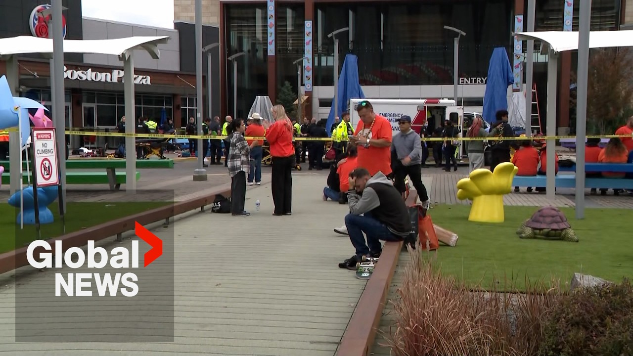 2 people dead after vehicle drives into crowd at BC mall