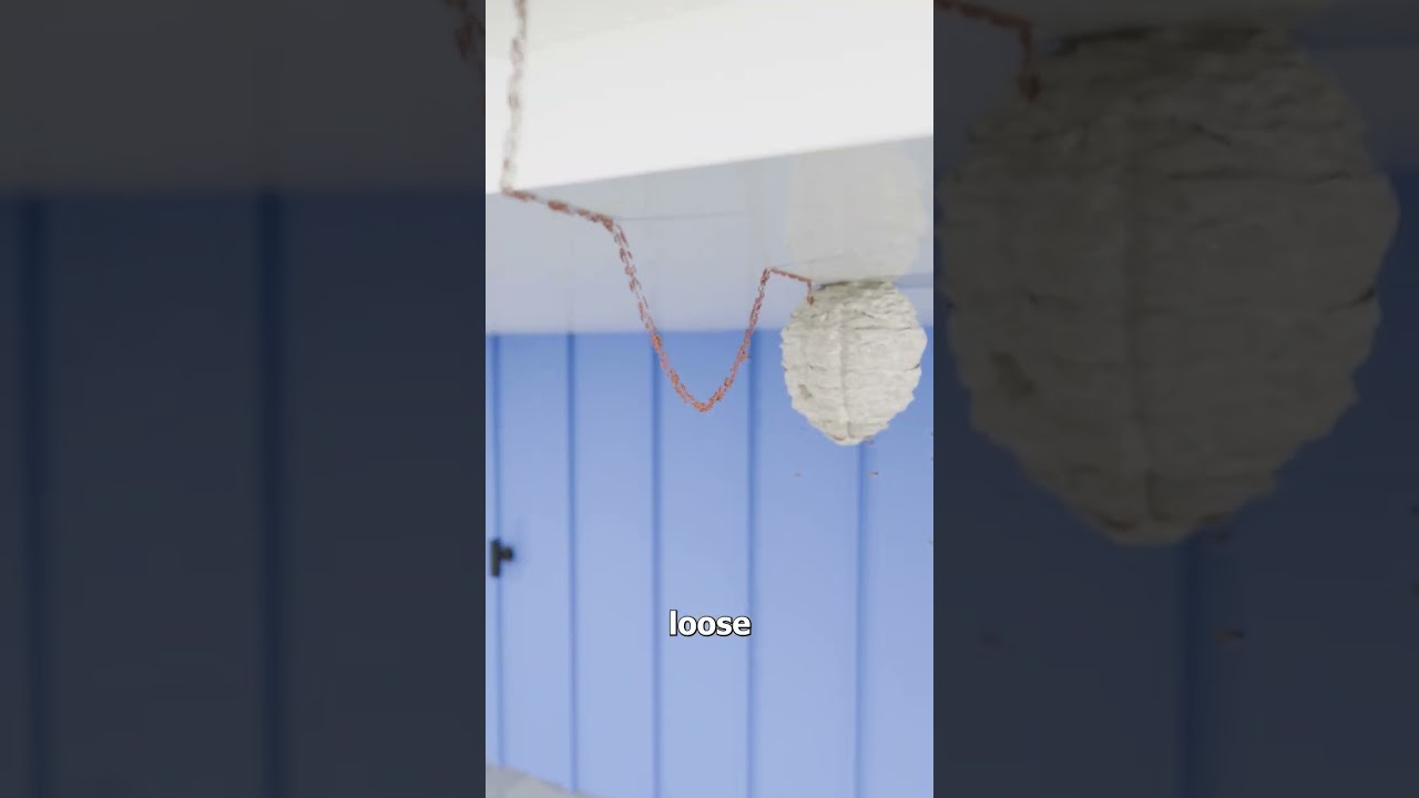 Ants Form A Chain To Raid A Wasp Nest 😮