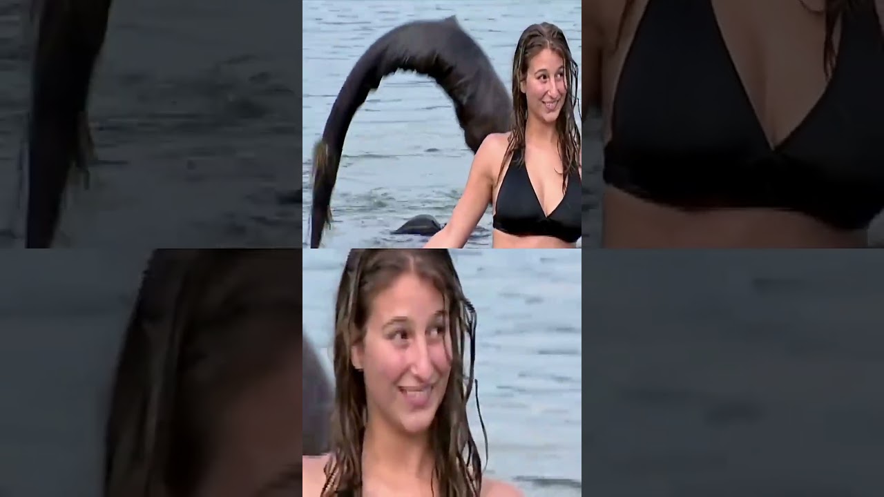 Bikini Model’s Beach Shoot Goes Horribly Wrong 🦈 | Just For Laughs Gags