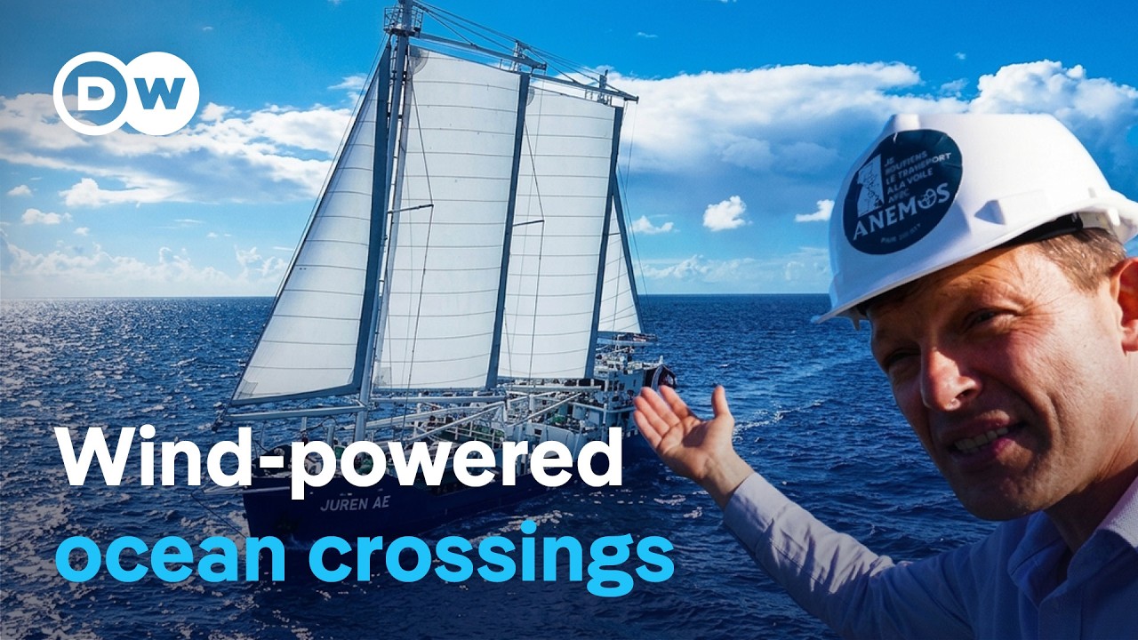 Cargo sailboats: A sea change for shipping? | DW Documentary