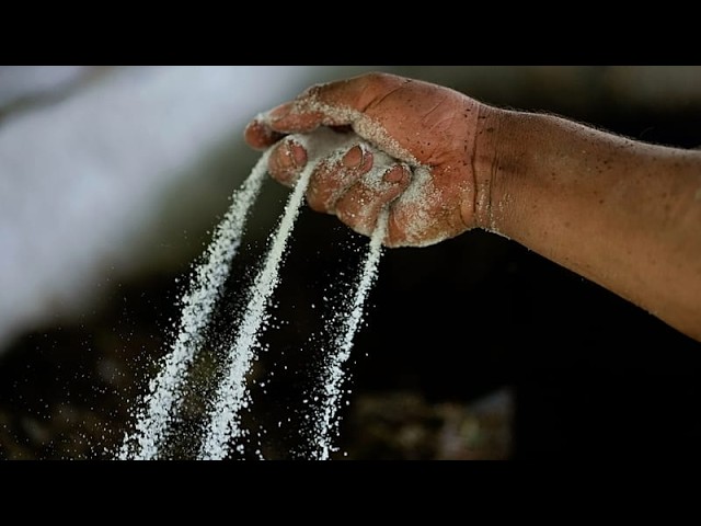 Colombia seizes 7.6 tonnes of Netherlands-bound cocaine at Cartagena port
