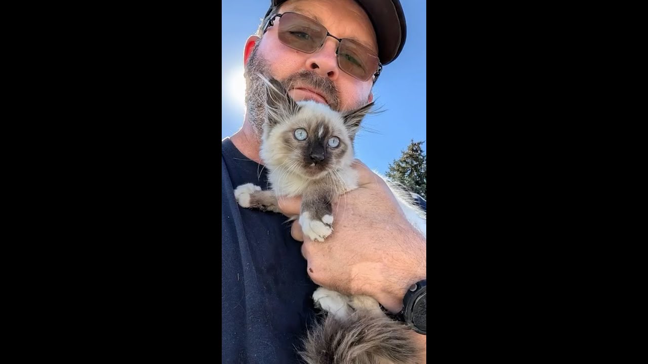 Crew uses ‘R2D2’ robot to rescue kitten from drain pipe