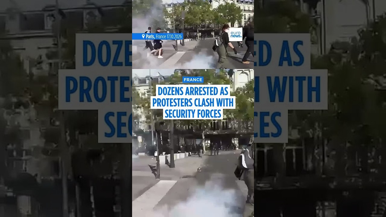 Dozens arrested as protesters clash with security forces in Paris