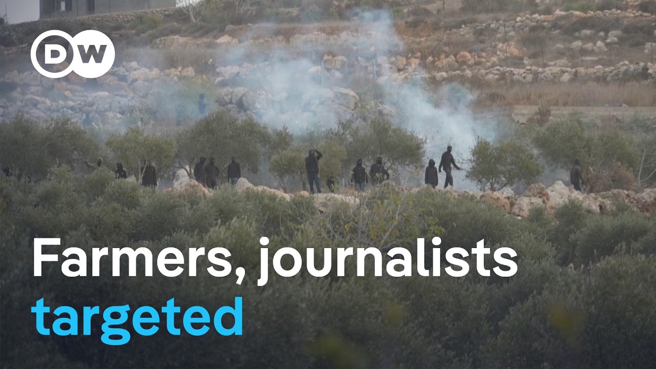 DW witnesses settlers closing in on Palestinian olive harvest | DW News