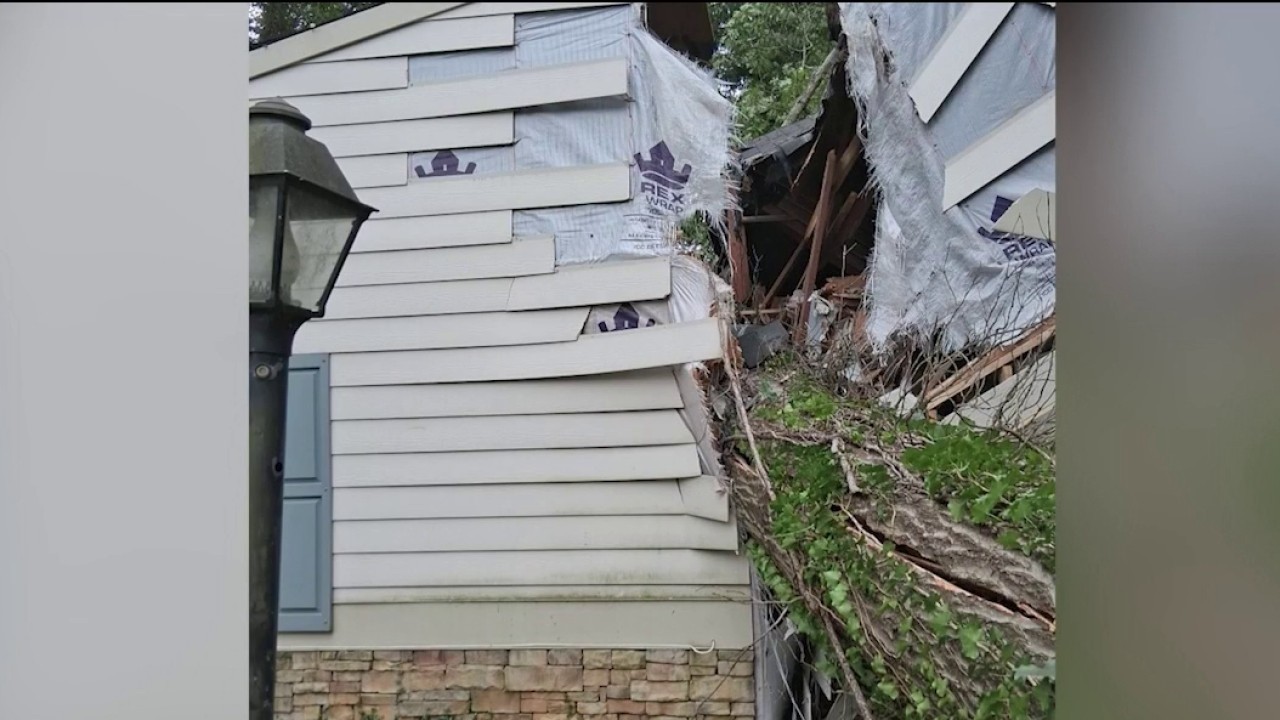 Falling tree splits family home in half while they sleep