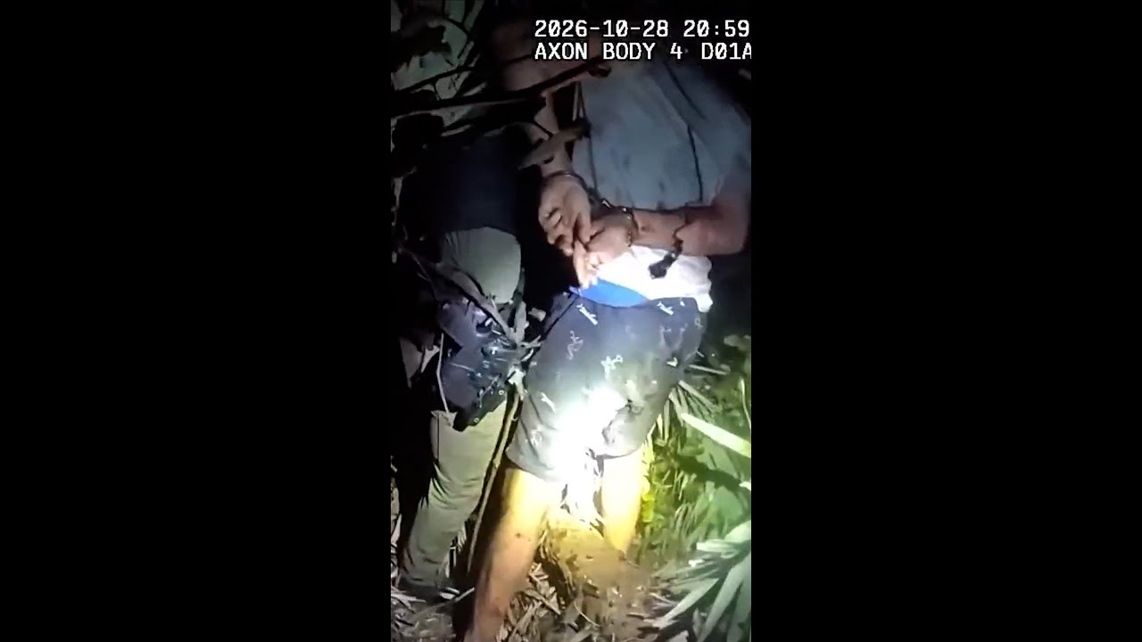 Florida suspect caught after three-hour hideout in bushes