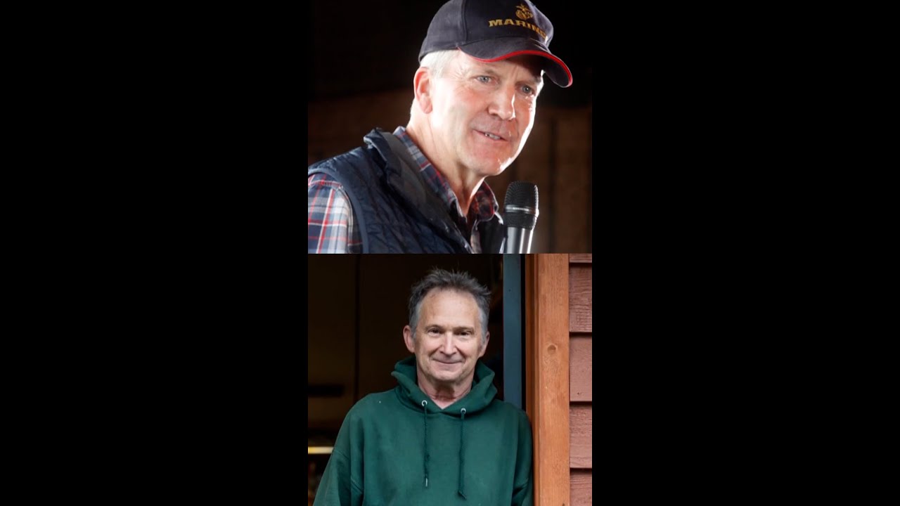 Governor launches Alaska Senate race investigation