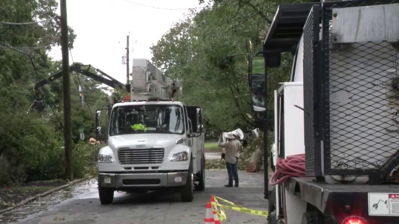 Huge tree falls in Brookhaven following Isaias impacts