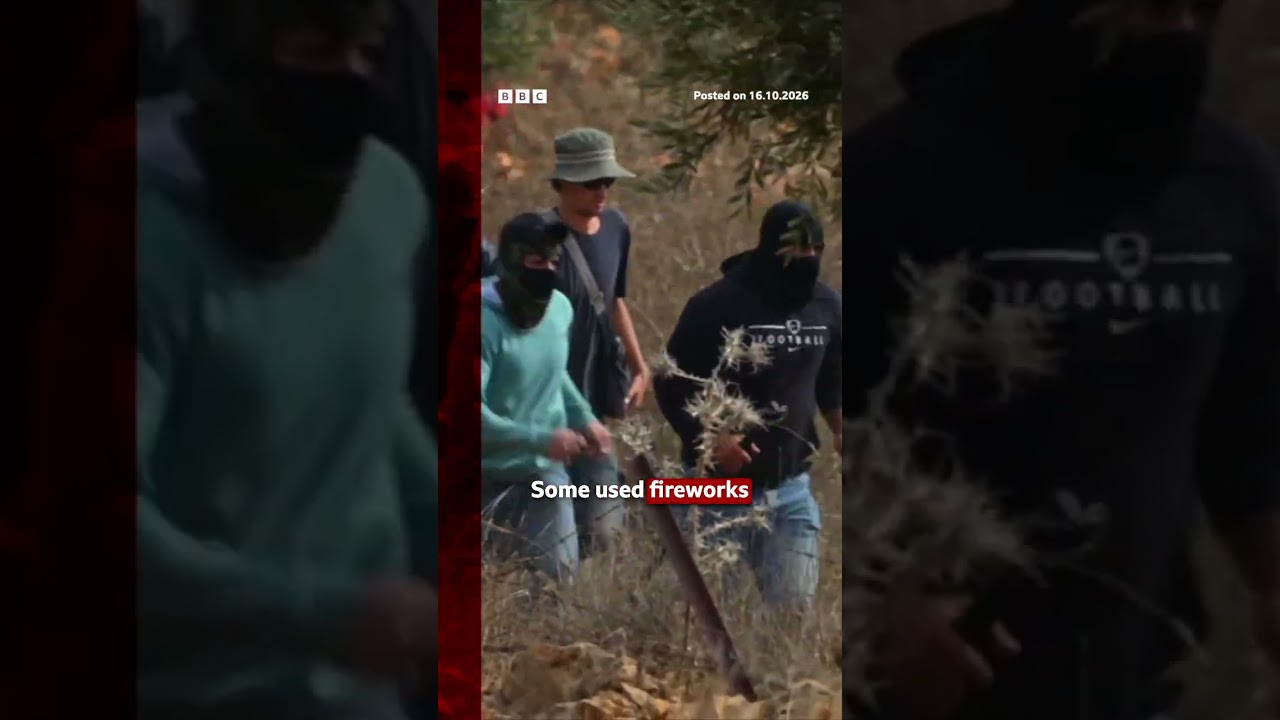 Israeli settlers attack Palestinians harvesting olives in West Bank. #BBCNews