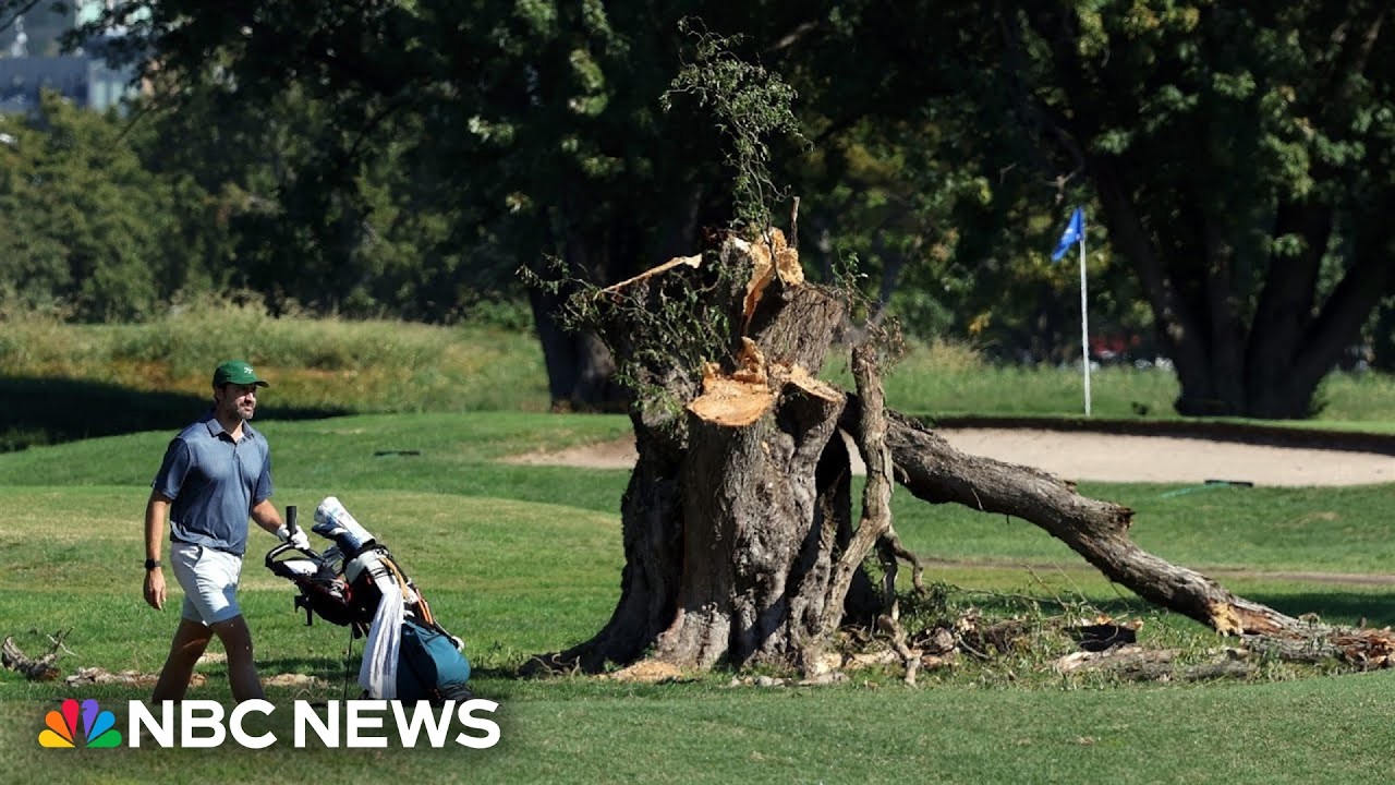 Judge halts Trump administration from clearing trees at D.C. golf course