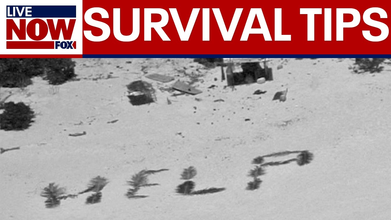 LiveNOW Investigates: Could you survive a horror movie?