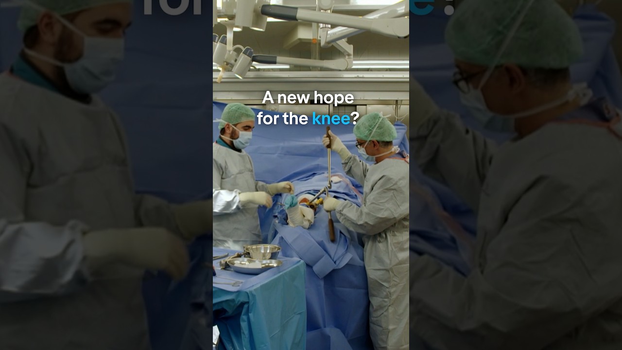 New hope for the knee? | DW Documentary