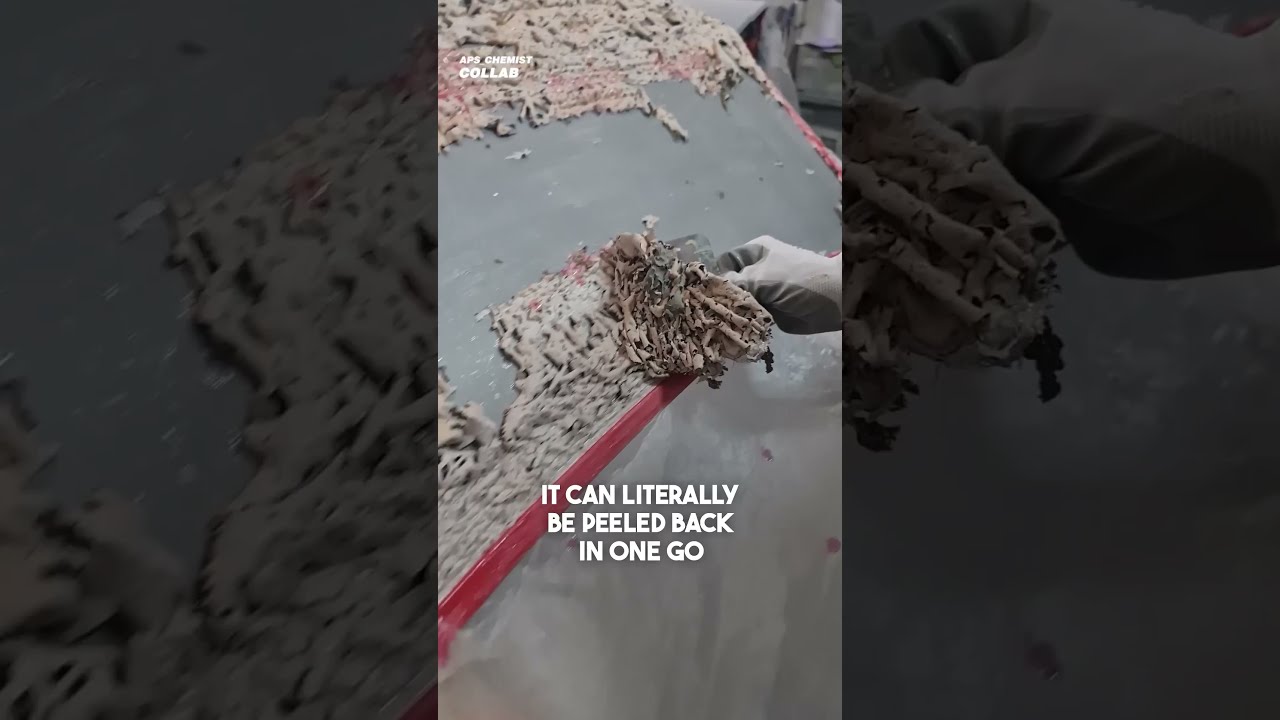 One Drop Will Ruin Your Car! 😱