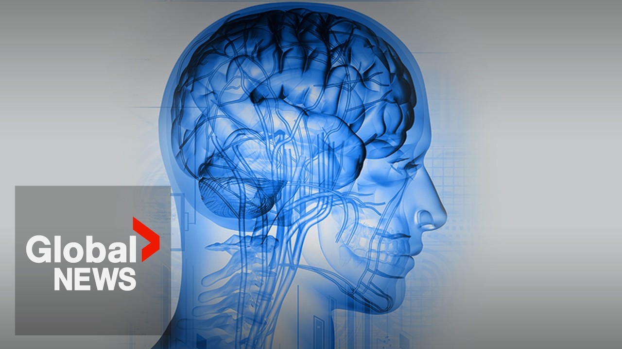 Optogenetics: 3 researchers win Nobel Prize in medicine for brain research