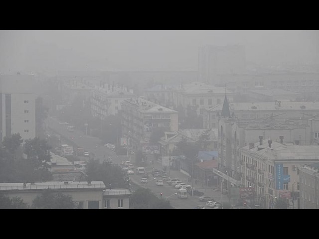 Plague fears in Siberia: How are Irkutsk residents reacting?