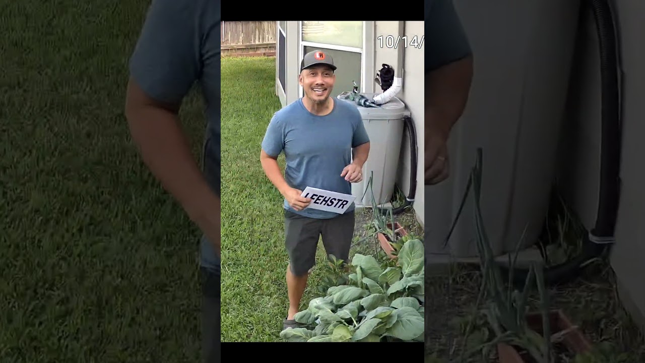 Reolink OMVI 2i Ultra – Day and Night Video Quality TEST!