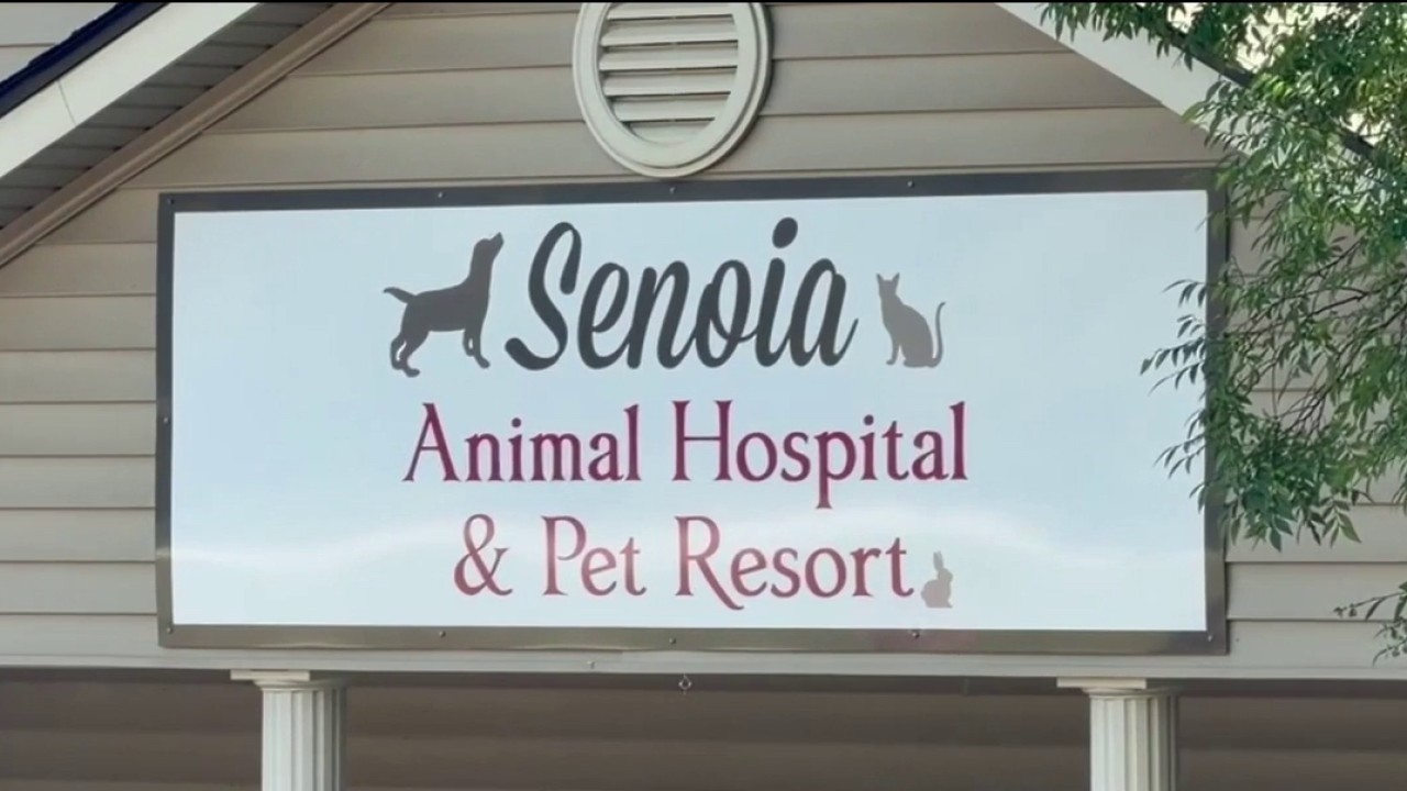 Senoia owners discover sick pets kept alive after paying for euthanasia | FOX 5 News