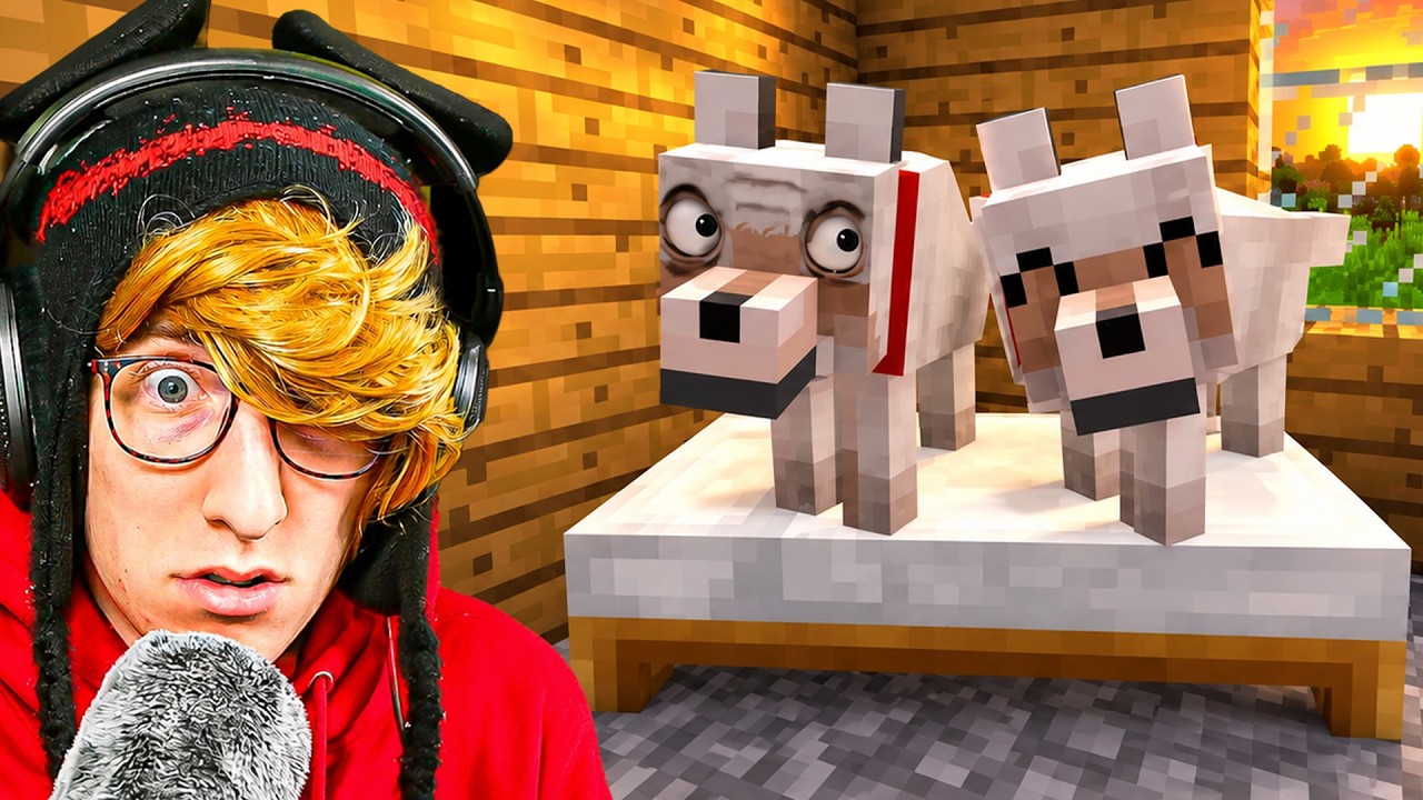 Something is Wrong With My Dog…