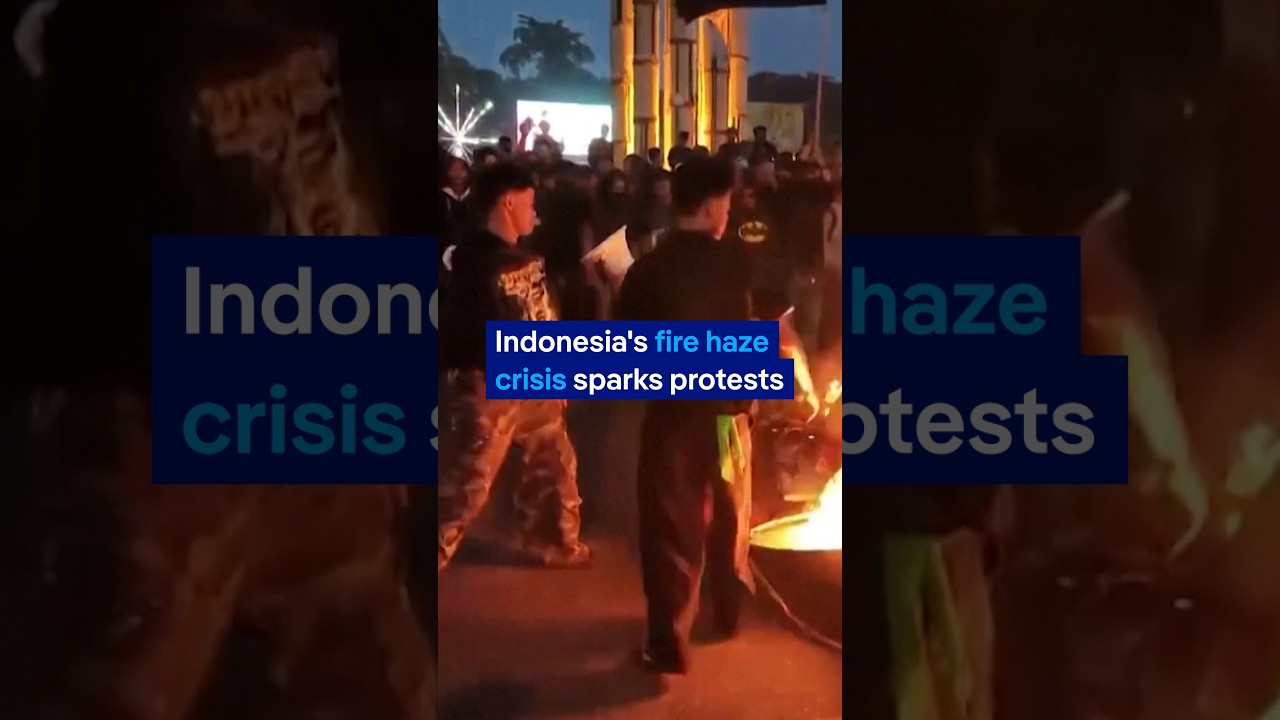 Students clash with police over Indonesia’s haze crisis | DW News