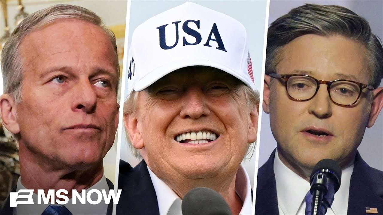 ‘Toxic soup for Republicans’: Ex-GOP strategist says Trump has ‘broken every promise’ to Americans