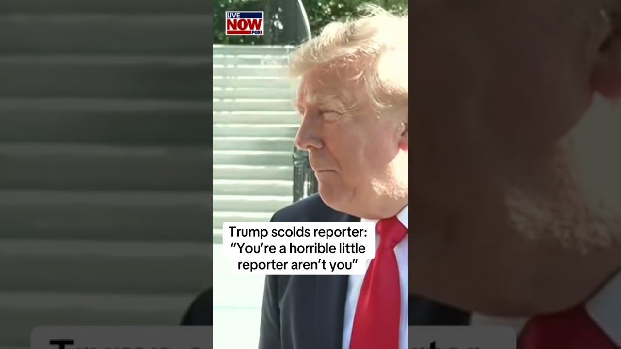 Trump scolds reporter during media gaggle: “You’re horrible little reporter aren’t you?”