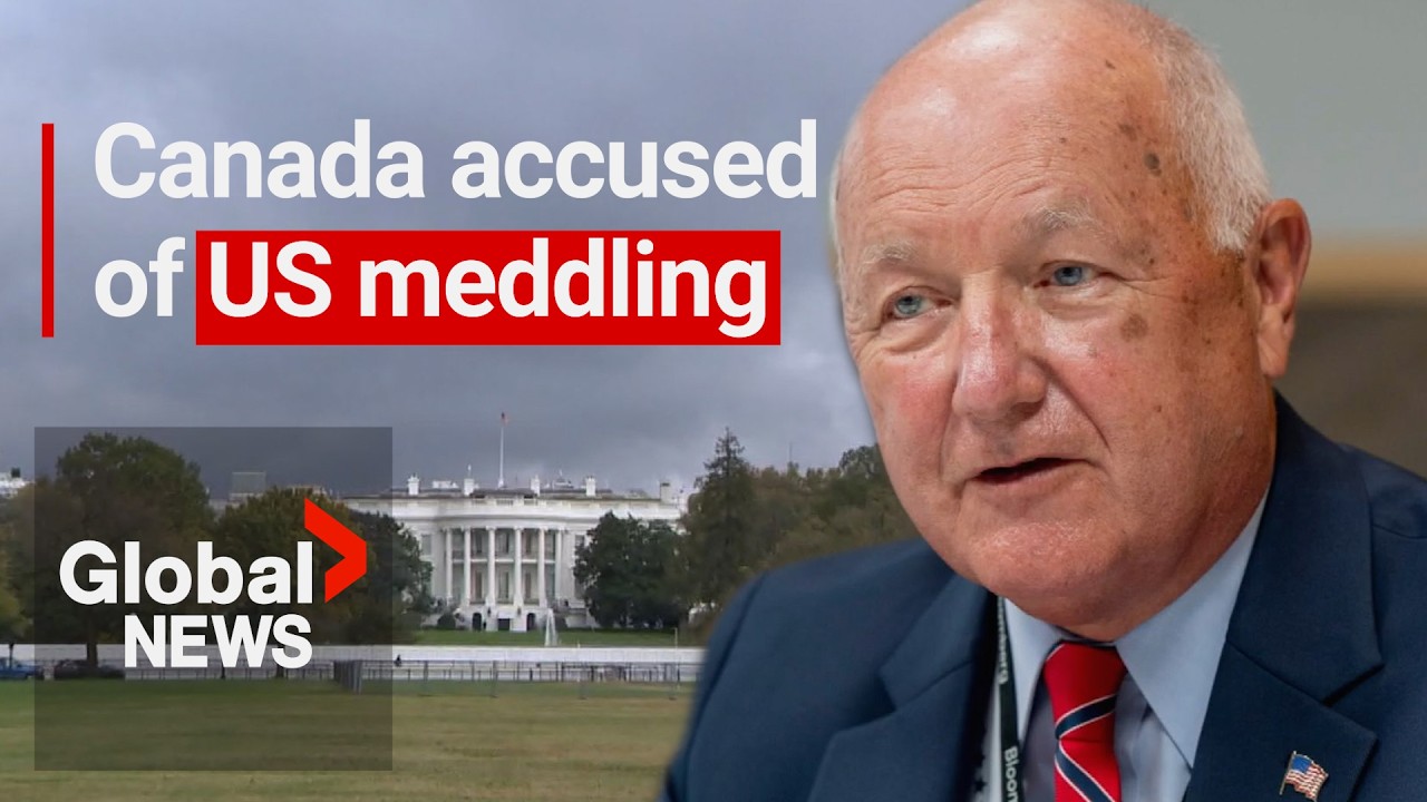 US ambassador Hoekstra warns Canada to “keep your nose out of American politics”