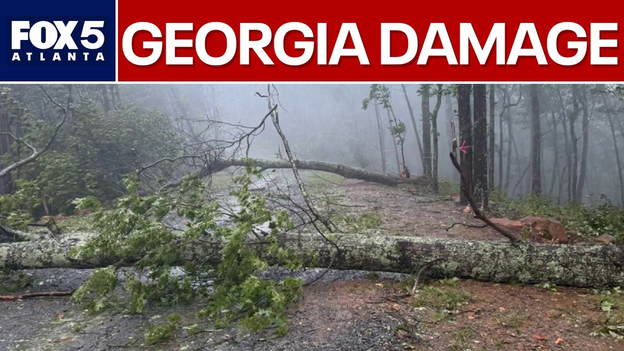 Viewer photos show damage across Georgia from Isaias | FOX 5 News