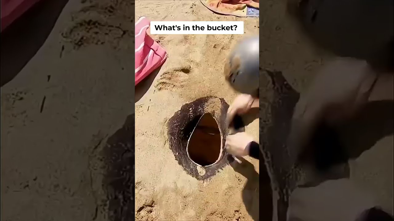 Weird Beach Day ☀️ | Just For Laughs Gags