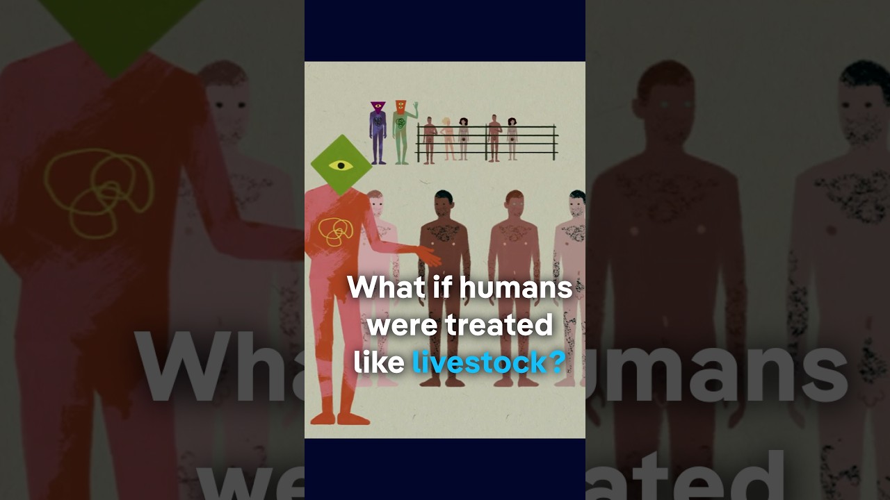 What if humans were treated like livestock? | DW Documentary