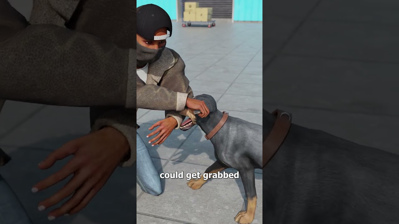 Why Dobermans Have Cropped Ears 😞