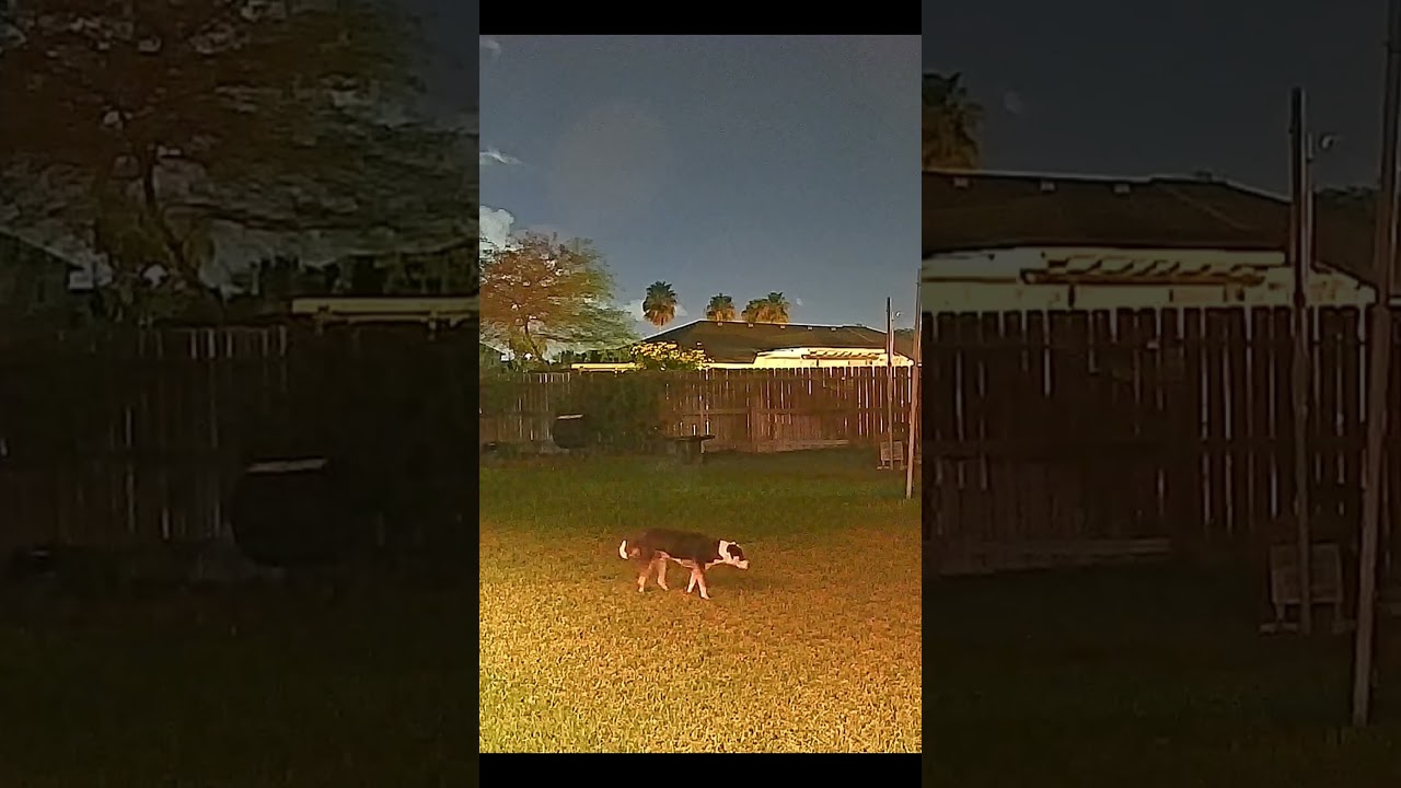 Wyze Window Cam After 10 Months – Still Worth IT?